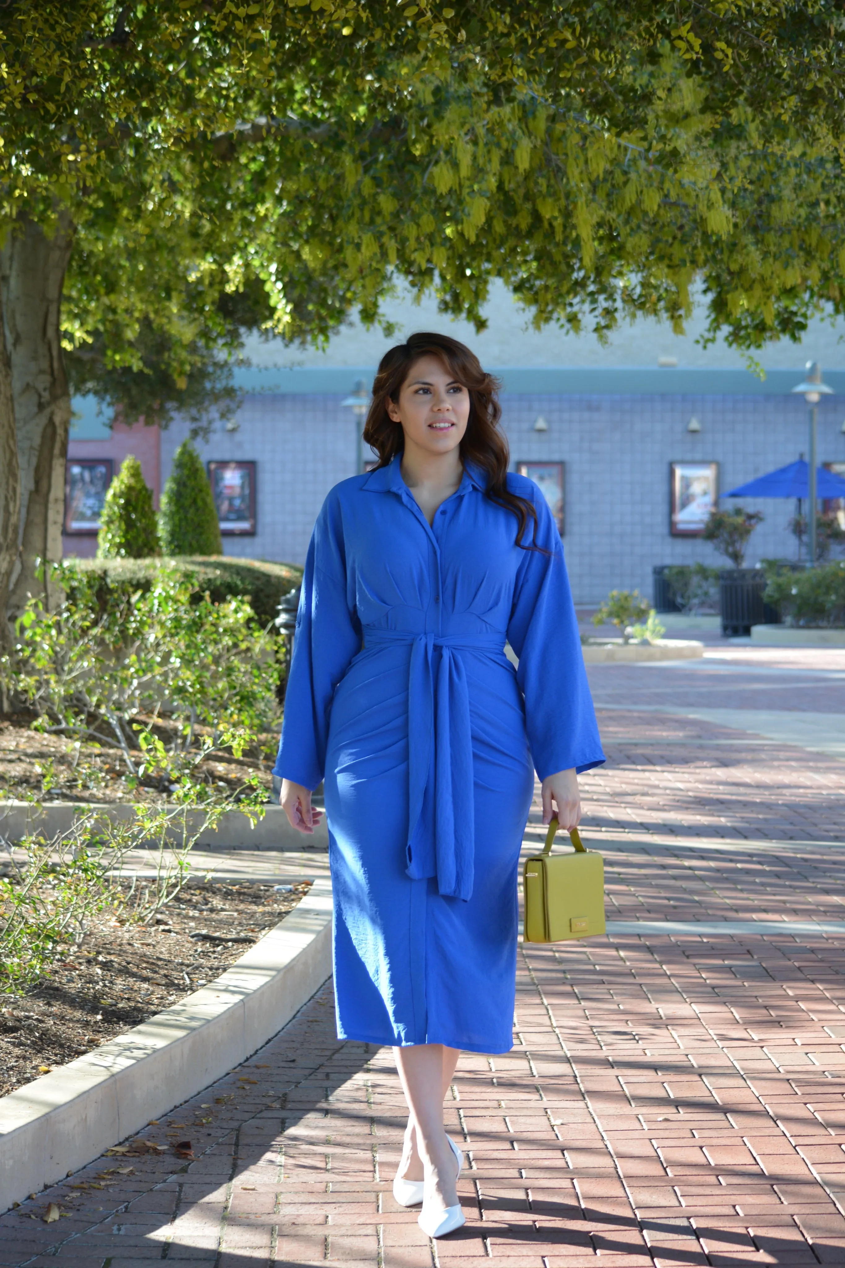 Savannah Royal Blue Midi Dress